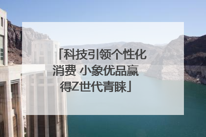科技引领个性化消费 小象优品赢得Z世代青睐