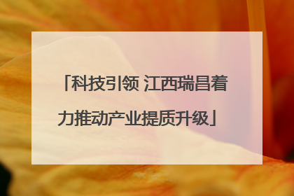 科技引领 江西瑞昌着力推动产业提质升级