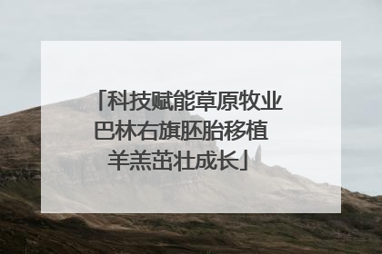 科技赋能草原牧业 巴林右旗胚胎移植羊羔茁壮成长