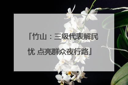 竹山：三级代表解民忧 点亮群众夜行路