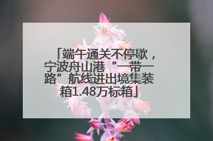 端午通关不停歇，宁波舟山港“一带一路”航线进出境集装箱1.48万标箱