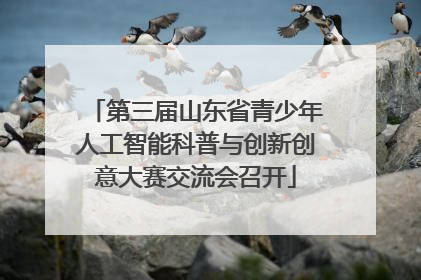 第三届山东省青少年人工智能科普与创新创意大赛交流会召开