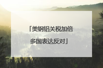 美钢铝关税加倍 多国表达反对