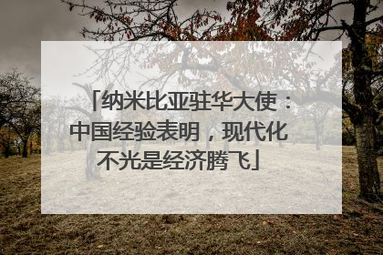 纳米比亚驻华大使：中国经验表明，现代化不光是经济腾飞