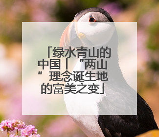 绿水青山的中国丨“两山”理念诞生地的富美之变