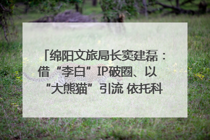 绵阳文旅局长窦建磊：借“李白”IP破圈、以“大熊猫”引流 依托科技优势绽放城市文旅魅力｜文旅局长说