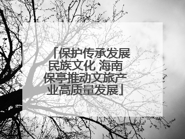 保护传承发展民族文化 海南保亭推动文旅产业高质量发展