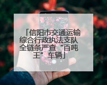 信阳市交通运输综合行政执法支队全链条严查“百吨王”车辆