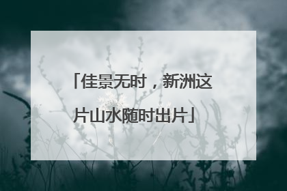佳景无时，新洲这片山水随时出片