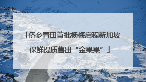 侨乡青田首批杨梅启程新加坡 保鲜提质售出“金果果”