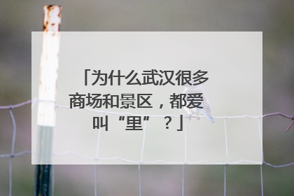 为什么武汉很多商场和景区，都爱叫“里”？