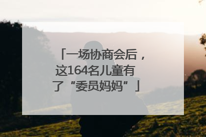一场协商会后，这164名儿童有了“委员妈妈”