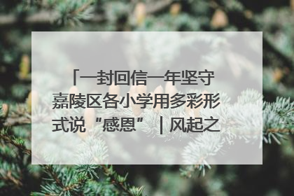 一封回信一年坚守 嘉陵区各小学用多彩形式说“感恩”｜风起之江 扶摇直上