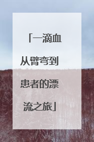 一滴血从臂弯到患者的漂流之旅
