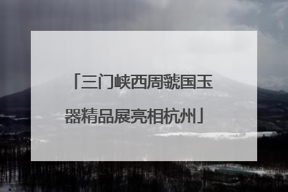 三门峡西周虢国玉器精品展亮相杭州