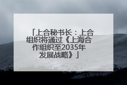 上合秘书长：上合组织将通过《上海合作组织至2035年发展战略》