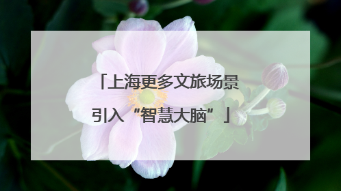 上海更多文旅场景引入“智慧大脑”