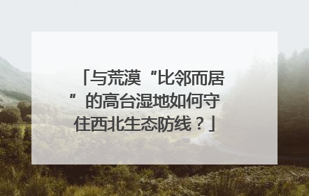 与荒漠“比邻而居”的高台湿地如何守住西北生态防线？