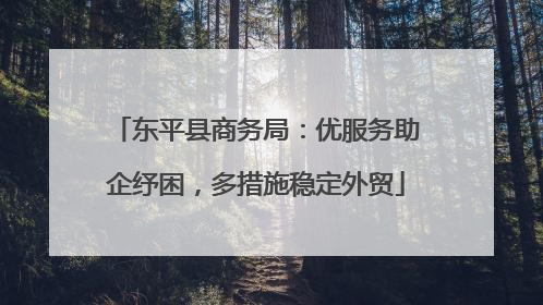 东平县商务局：优服务助企纾困，多措施稳定外贸