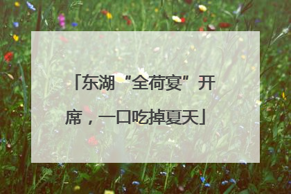 东湖“全荷宴”开席，一口吃掉夏天