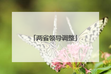 两省领导调整