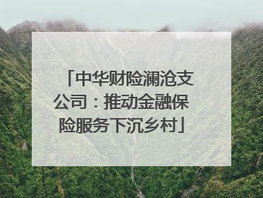 中华财险澜沧支公司：推动金融保险服务下沉乡村