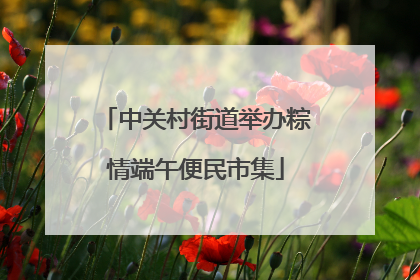 中关村街道举办粽情端午便民市集