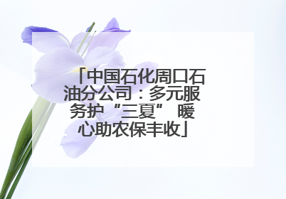 中国石化周口石油分公司：多元服务护“三夏” 暖心助农保丰收