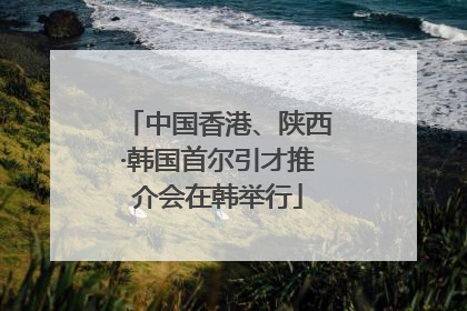 中国香港、陕西·韩国首尔引才推介会在韩举行