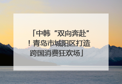 中韩“双向奔赴”！青岛市城阳区打造跨国消费狂欢场