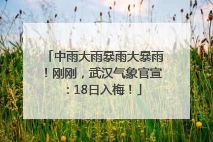 中雨大雨暴雨大暴雨！刚刚，武汉气象官宣：18日入梅！