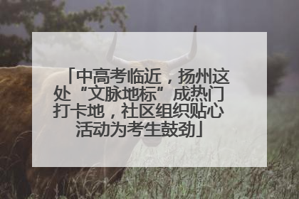 中高考临近，扬州这处“文脉地标”成热门打卡地，社区组织贴心活动为考生鼓劲