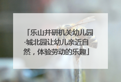 乐山井研机关幼儿园·城北园让幼儿亲近自然，体验劳动的乐趣