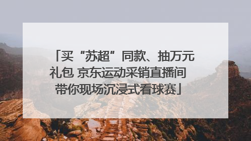 买“苏超”同款、抽万元礼包 京东运动采销直播间带你现场沉浸式看球赛