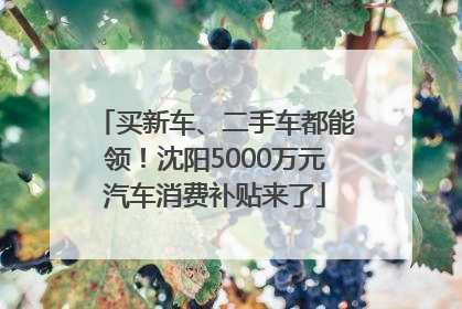 买新车、二手车都能领！沈阳5000万元汽车消费补贴来了
