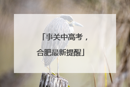 事关中高考，合肥最新提醒