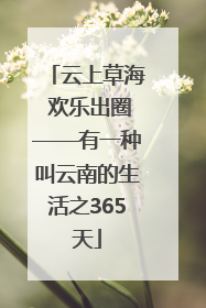 云上草海 欢乐出圈——有一种叫云南的生活之365天
