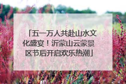 五一万人共赴山水文化盛宴！沂蒙山云蒙景区节后开启欢乐热潮