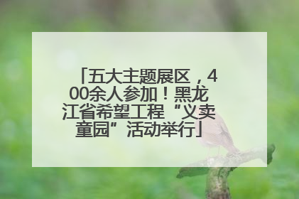五大主题展区，400余人参加！黑龙江省希望工程“义卖童园”活动举行