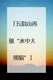 五指山再现“水中大熊猫”