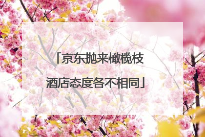 京东抛来橄榄枝 酒店态度各不相同