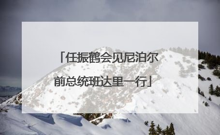 任振鹤会见尼泊尔前总统班达里一行