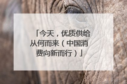 今天，优质供给从何而来（中国消费向新而行）