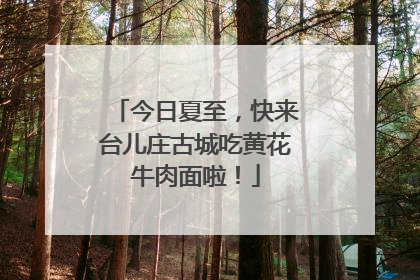 今日夏至，快来台儿庄古城吃黄花牛肉面啦！