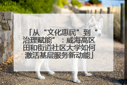 从“文化惠民”到“治理赋能”：威海高区田和街道社区大学如何激活基层服务新动能