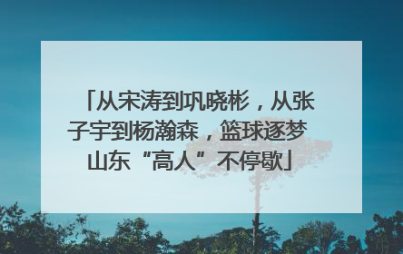 从宋涛到巩晓彬，从张子宇到杨瀚森，篮球逐梦山东“高人”不停歇
