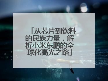 从芯片到饮料的民族力量，解析小米东鹏的全球化高光之路