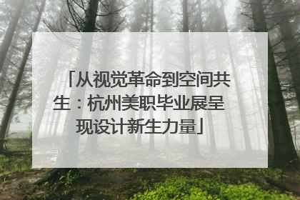 从视觉革命到空间共生：杭州美职毕业展呈现设计新生力量