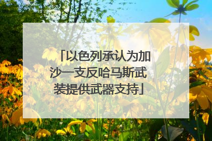 以色列承认为加沙一支反哈马斯武装提供武器支持