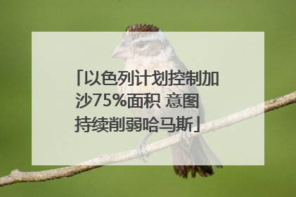 以色列计划控制加沙75%面积 意图持续削弱哈马斯